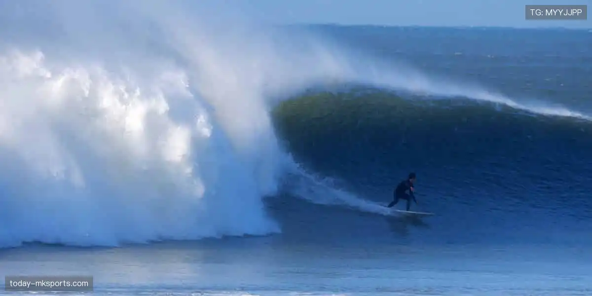 🎁收藏热爱，见证传奇！体育周边官网，限量正品，让每一件都是独家记忆！🏆🔥